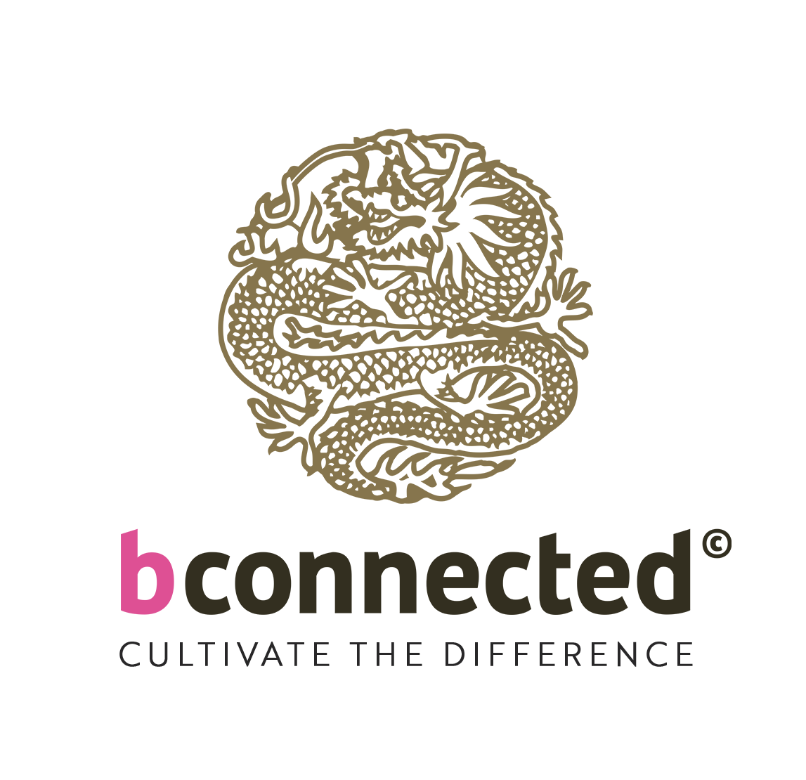 BConnected Real Estate Mallorca
